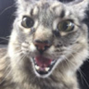 Meet your Posher, Adam